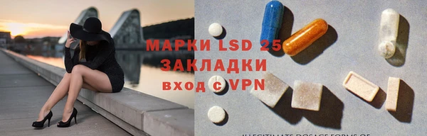 ГАЛЛЮЦИНОГЕННЫЕ ГРИБЫ Новозыбков