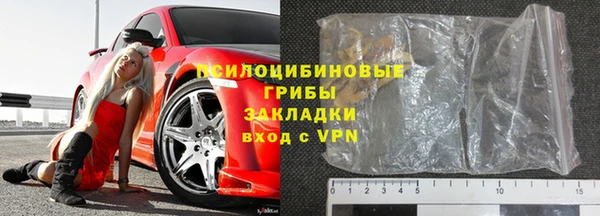 ГАЛЛЮЦИНОГЕННЫЕ ГРИБЫ Новозыбков