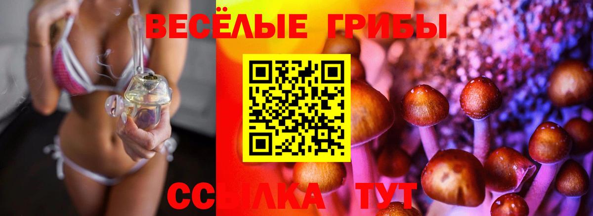 Галлюциногенные грибы GOLDEN TEACHER  Вход с VPN  Переславль-Залесский 